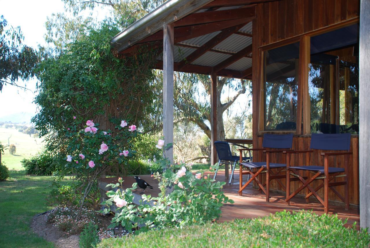 Bluegum Ridge Cottages Merrijig Ngoại thất bức ảnh